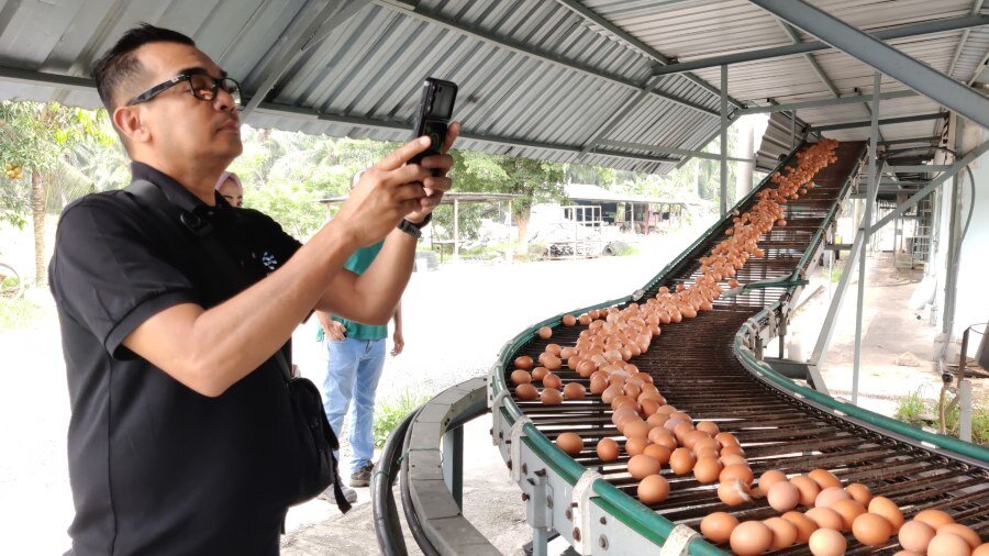 A Site Visit: Understanding the Cage-Free Egg Supply Chain