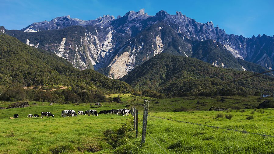 Mount Kinabalu