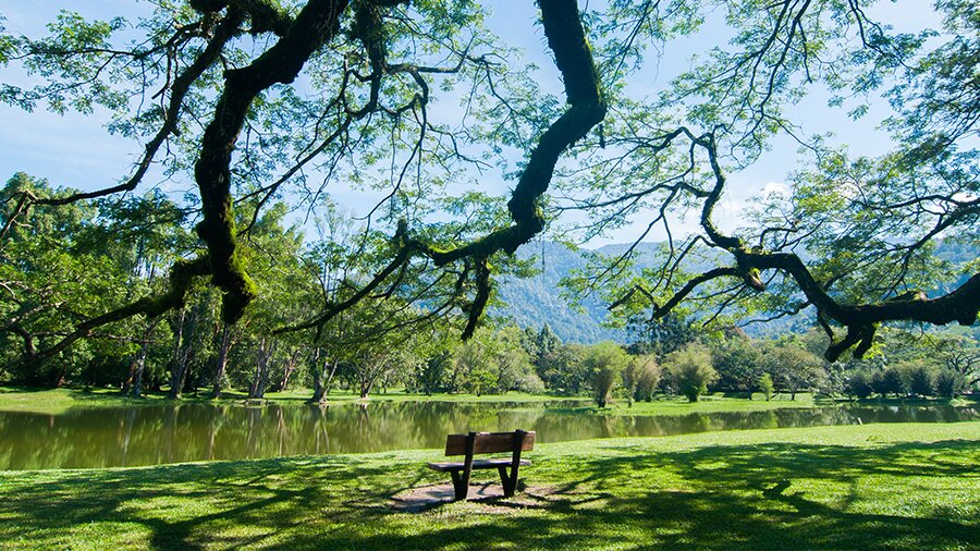 Taiping Lake Gardens